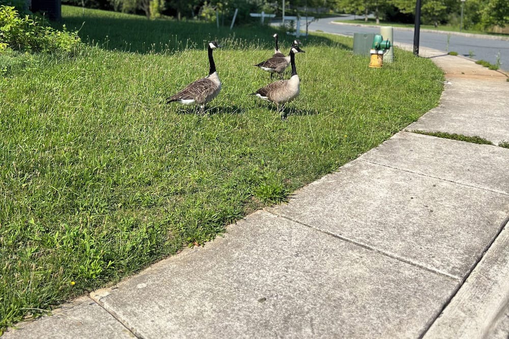 Photo of Outdoor in Newark