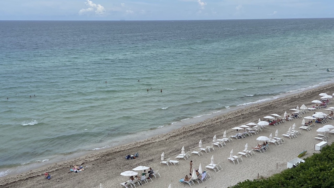 Photo of Others in Hallandale Beach