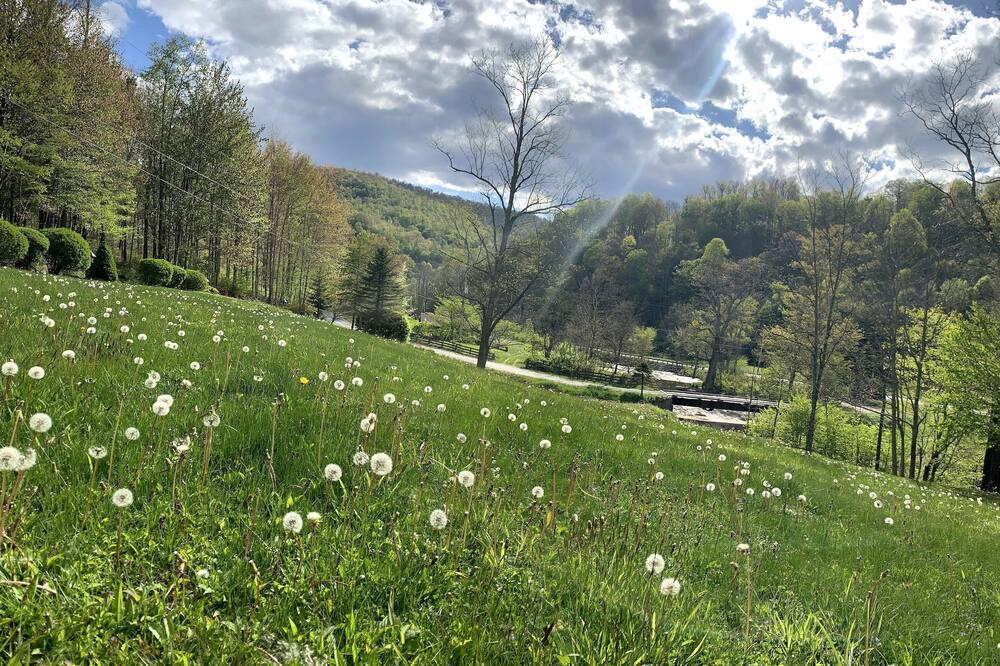 Photo of Outdoor in Edray