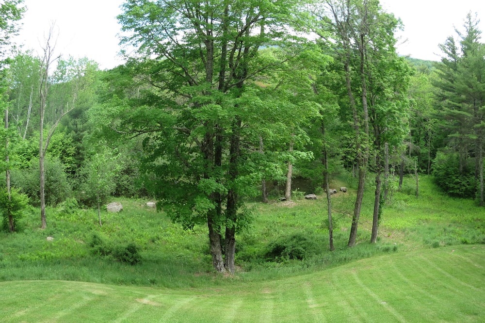 Photo of Outdoor in Jewett