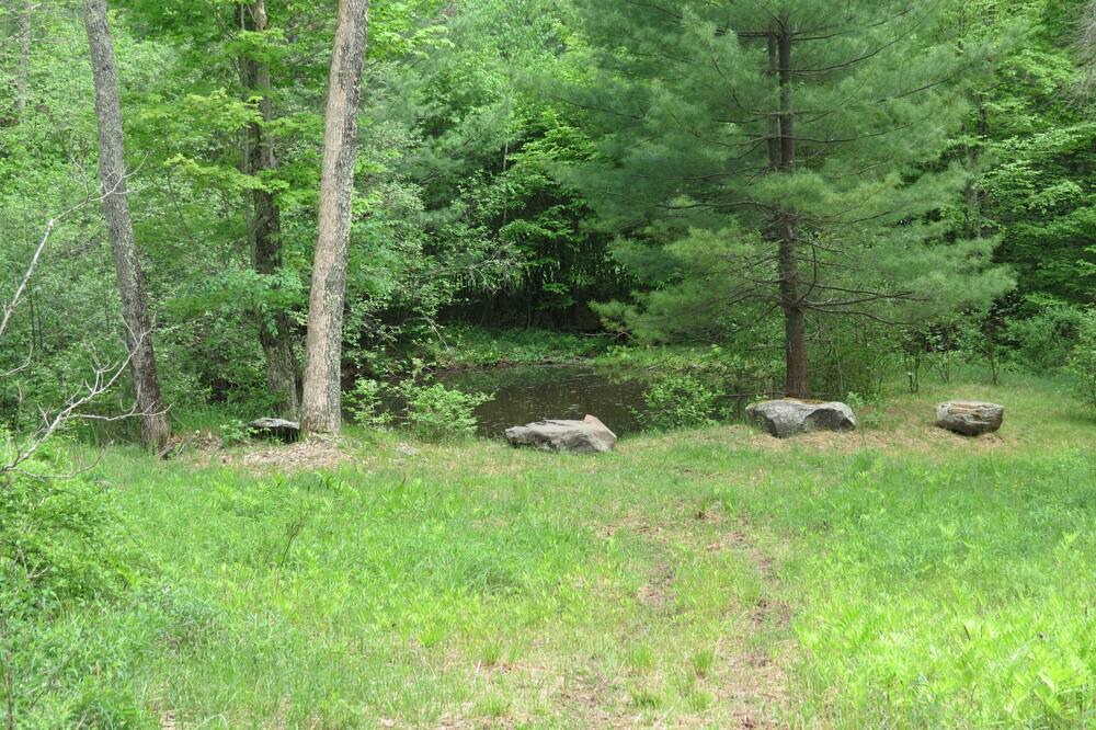 Photo of Outdoor in Jewett