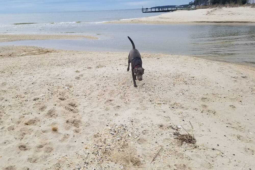 Photo of Others in Point Lookout