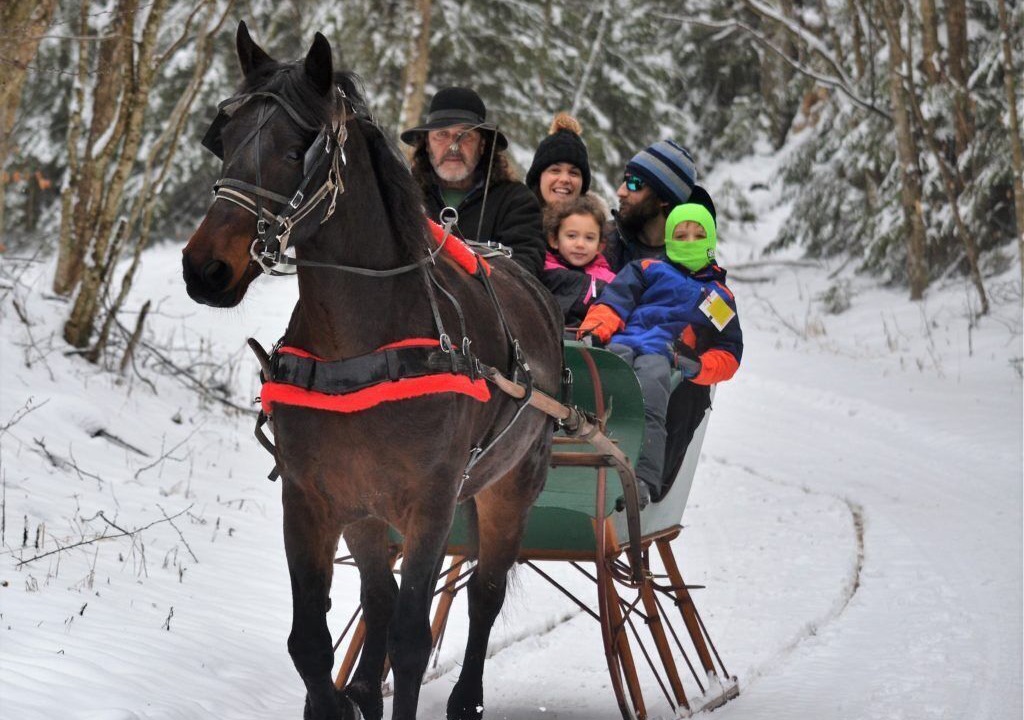 Photo of Others in Snowshoe