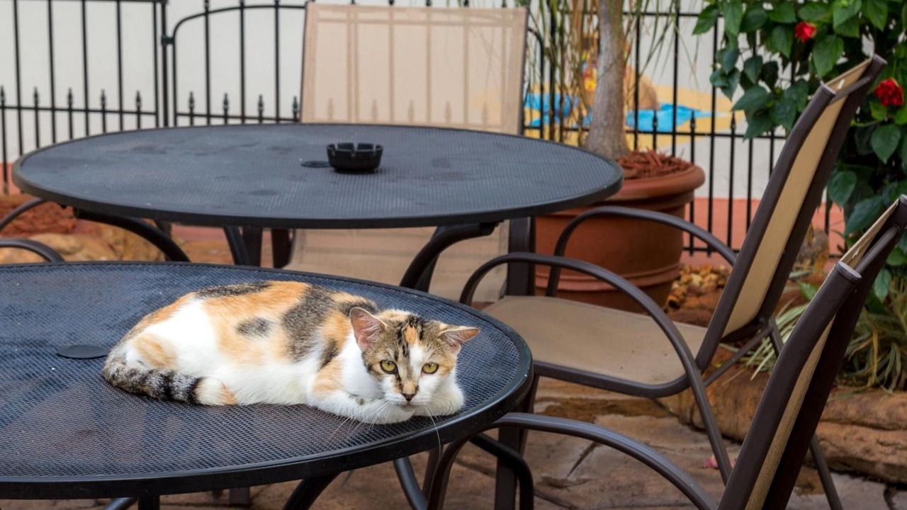 Photo of Patio Balcony in Hollywood Lakes