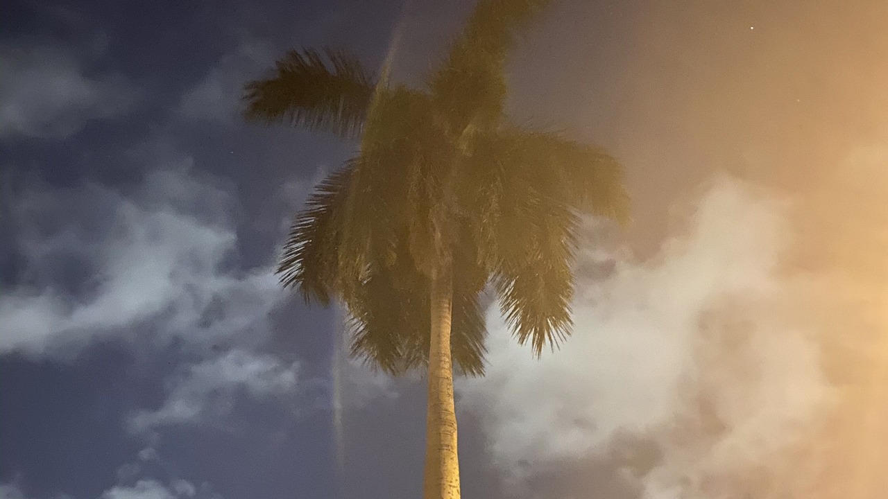 Photo of Others in Coral Ridge Isles