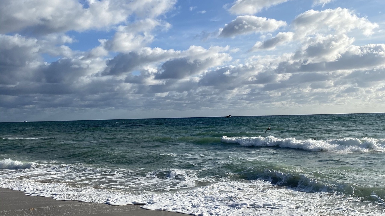 Photo of Others in Coral Ridge Isles