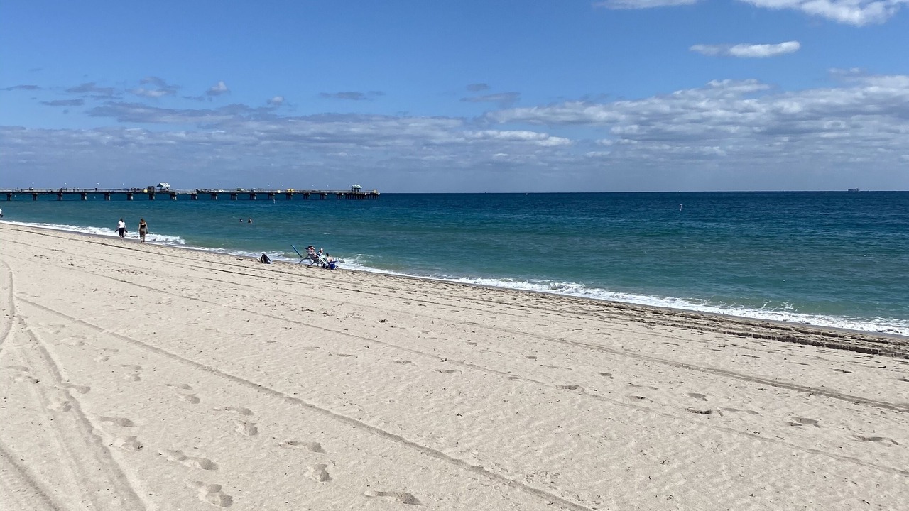 Photo of Others in Coral Ridge Isles