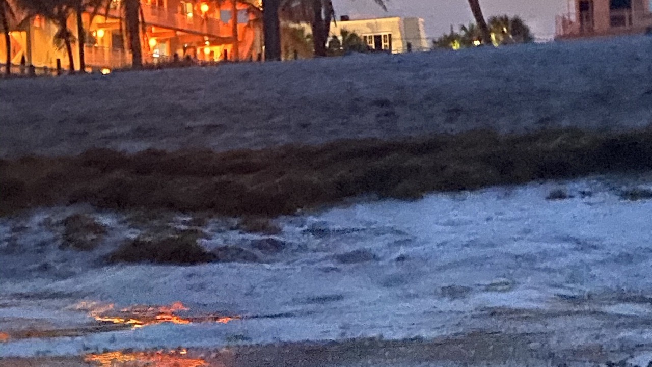 Photo of Outdoor in Coral Ridge Isles