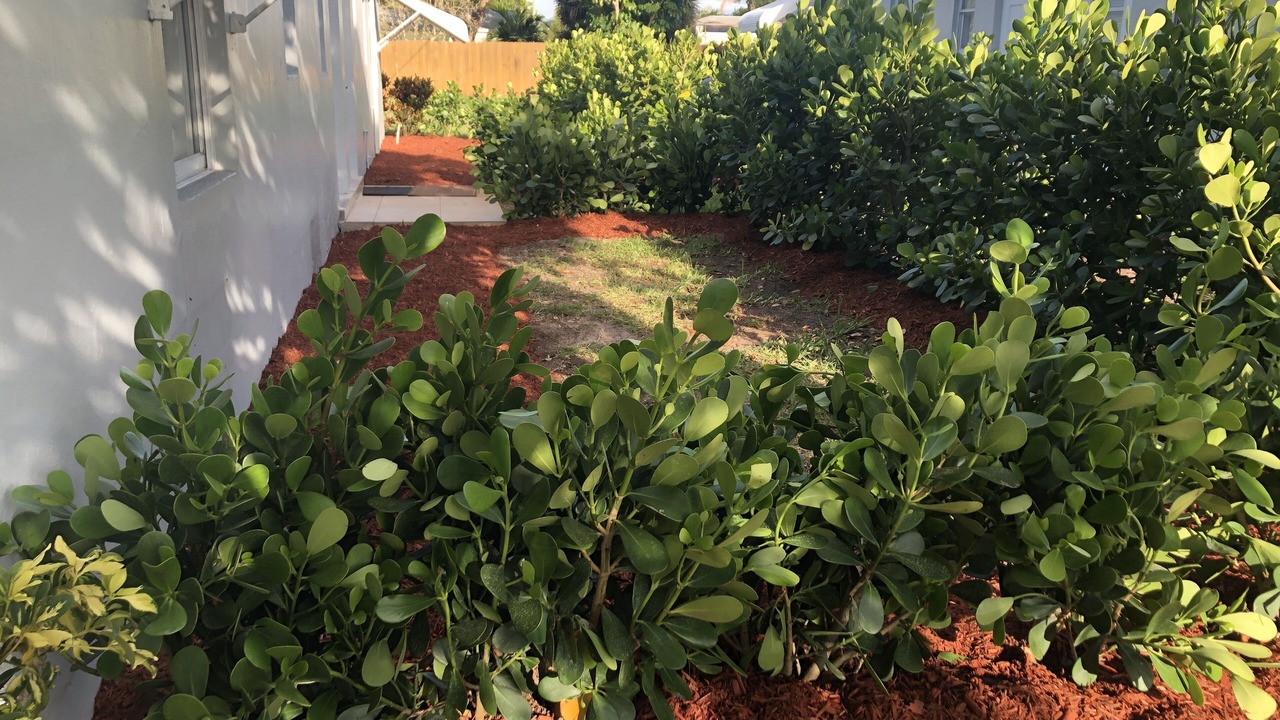Photo of Outdoor in Delray Beach