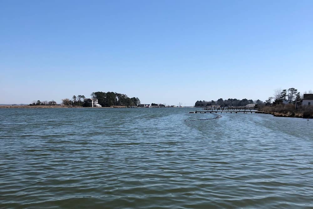 Photo of Others in Piney Point