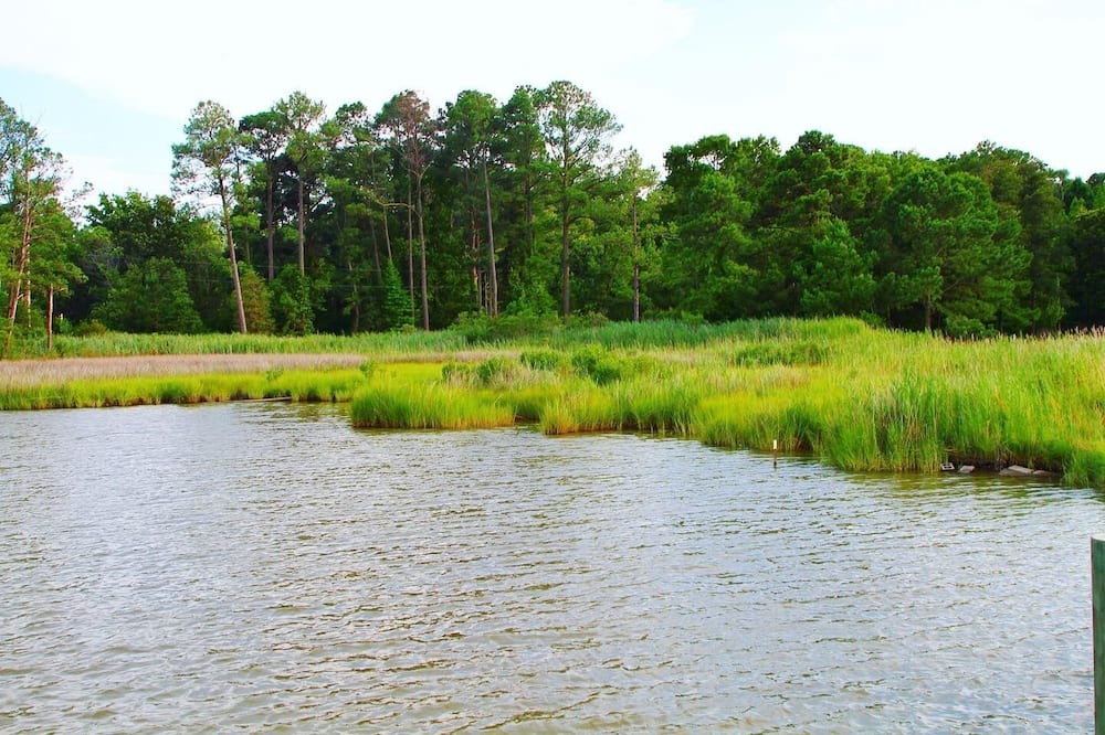 Photo of Others in Piney Point