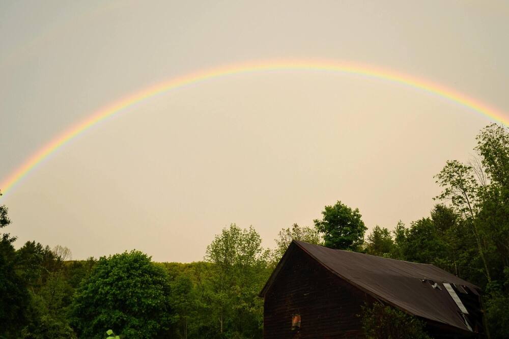 Photo of Others in Middleburgh