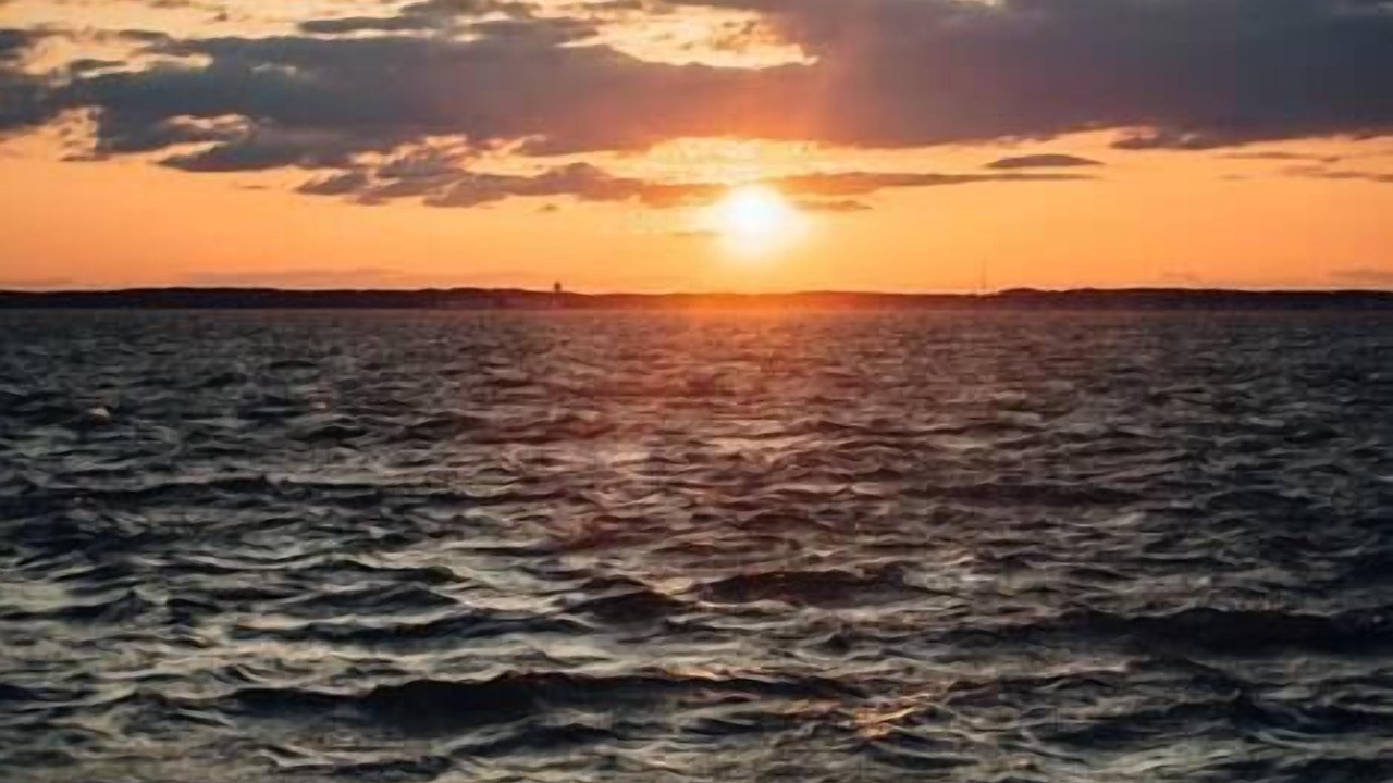 Photo of Others in West Ocean City