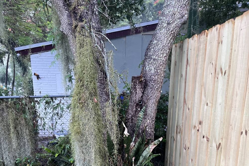 Photo of Outdoor in Driftwood
