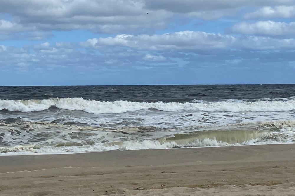 Photo of Others in Sea Bright