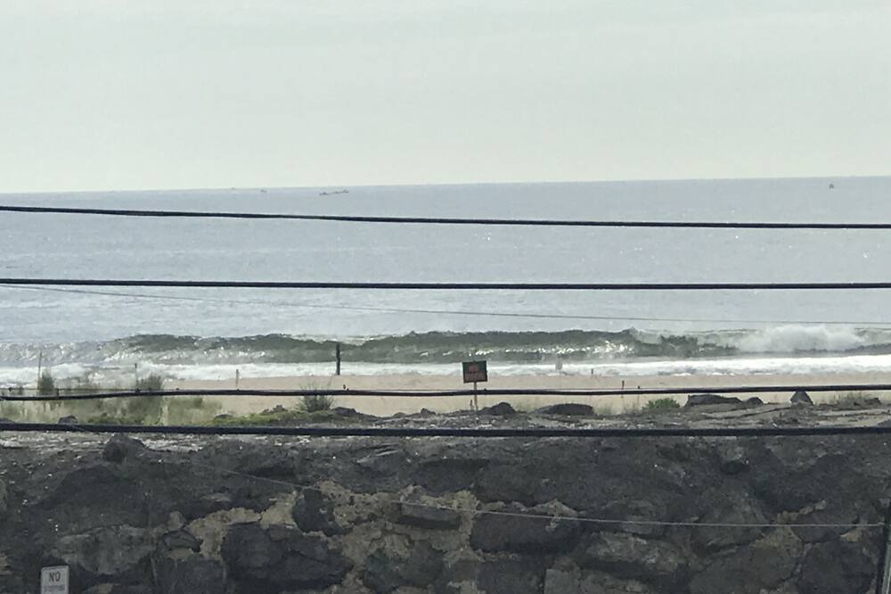 Photo of Others in Sea Bright