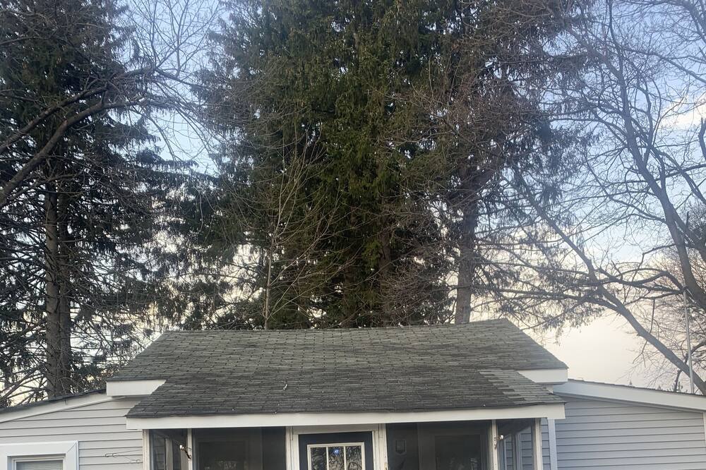 Photo of Outdoor in Orange Lake