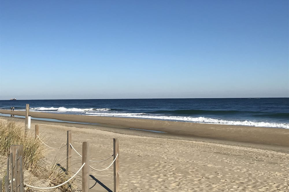 Photo of Others in North Ocean City
