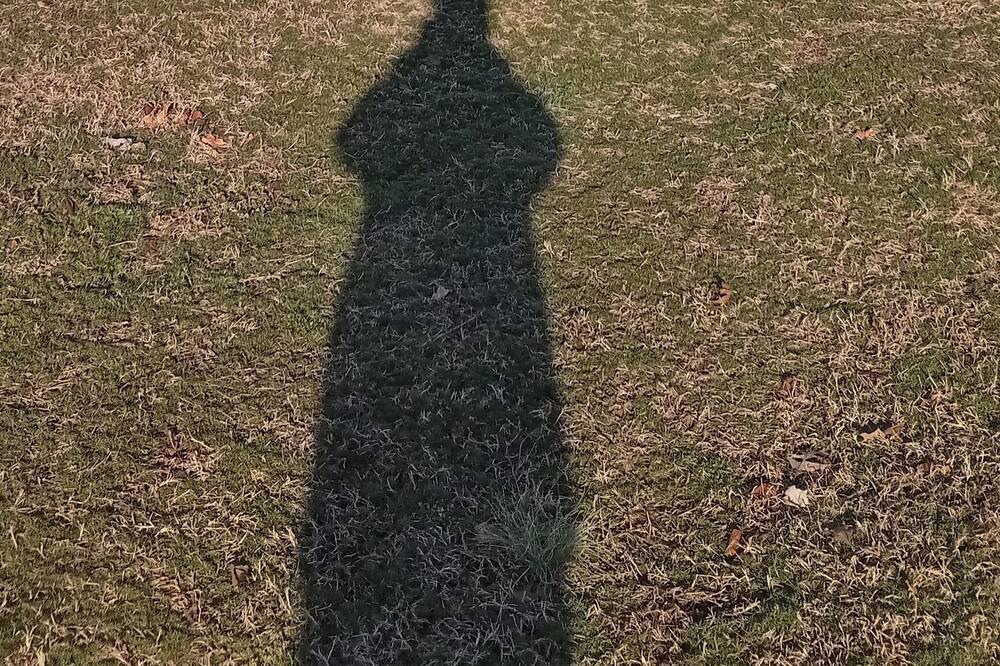 Photo of Others in Laurel