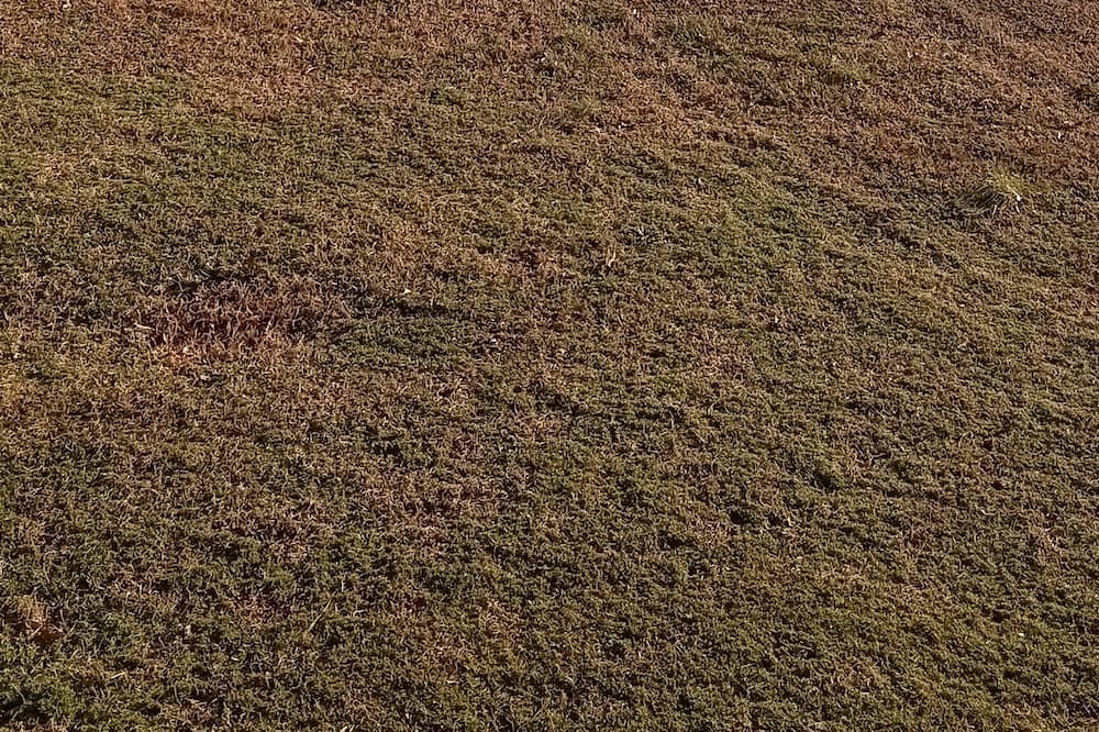 Photo of Others in Laurel
