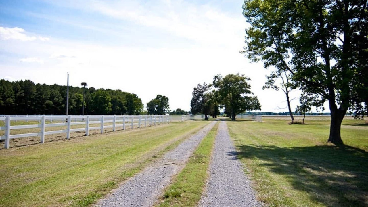 Photo of Outdoor in Cambridge