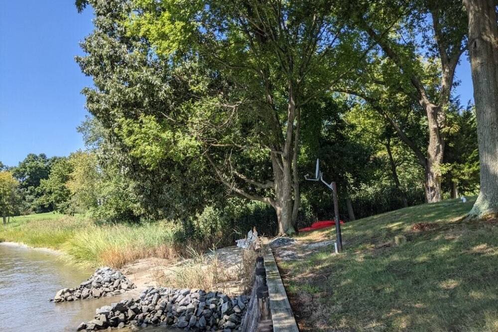 Photo of Others in Queenstown