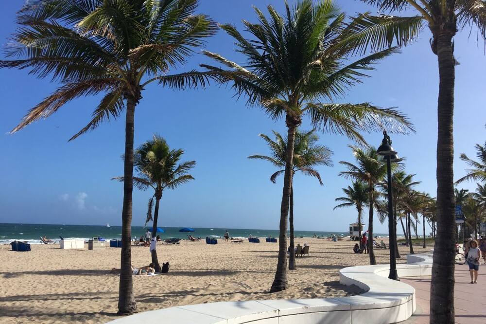 Photo of Outdoor in Plantation