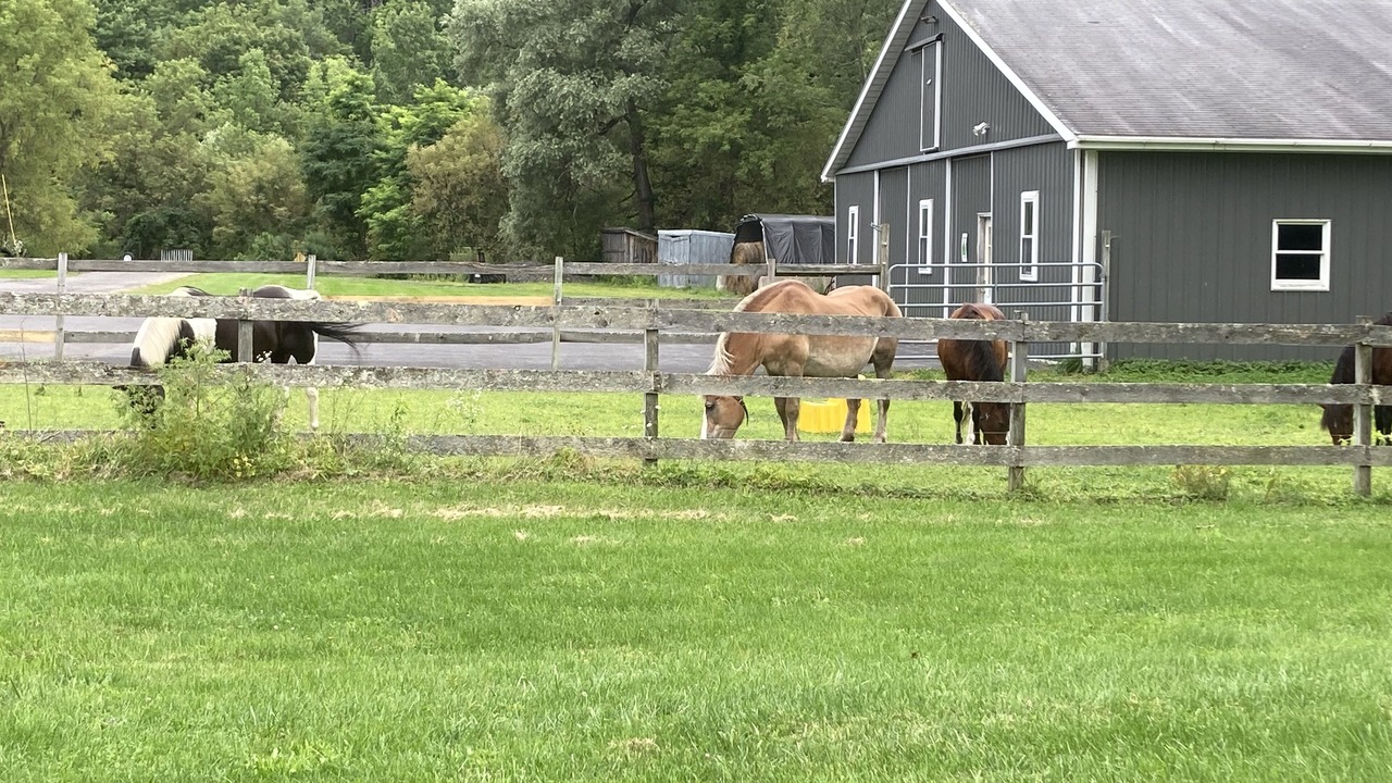 Photo of Outdoor in East Berne