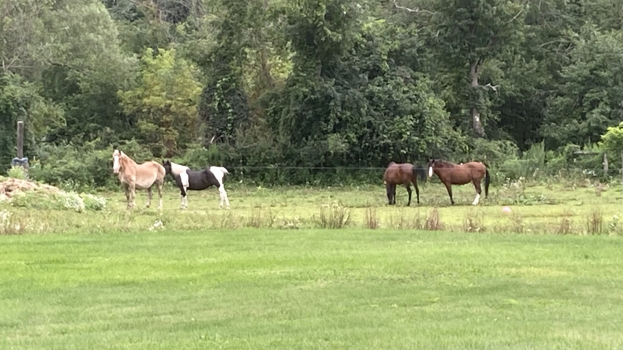 Photo of Others in East Berne