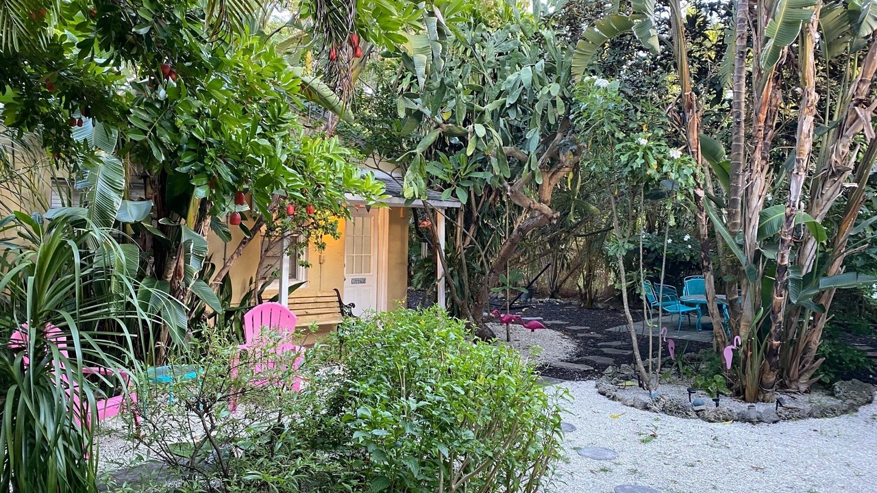 Photo of Outdoor in Miami Shores