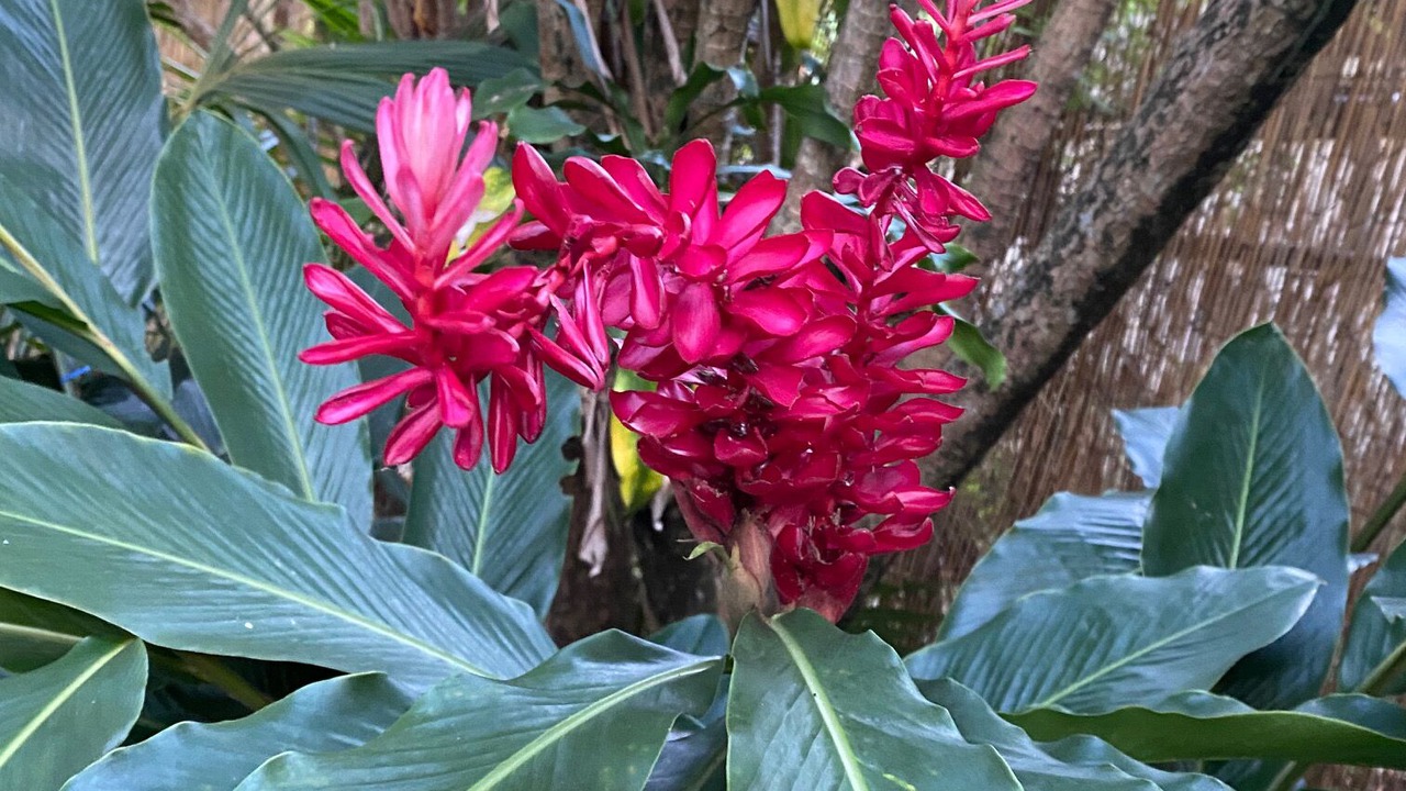 Photo of Outdoor in Miami Shores