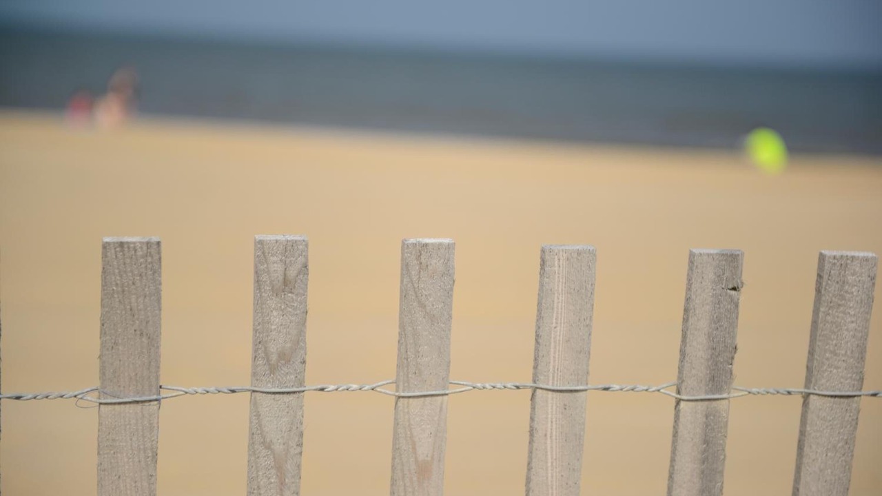 Photo of Others in Dewey Beach