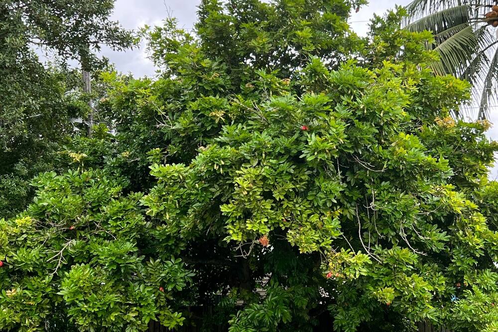 Photo of Outdoor in Miami Gardens