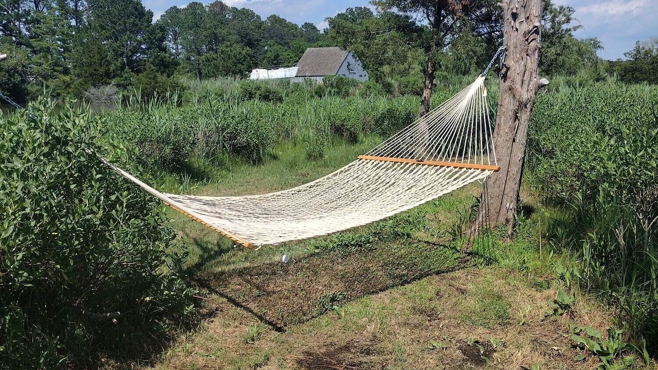 Photo of Outdoor in Cambridge