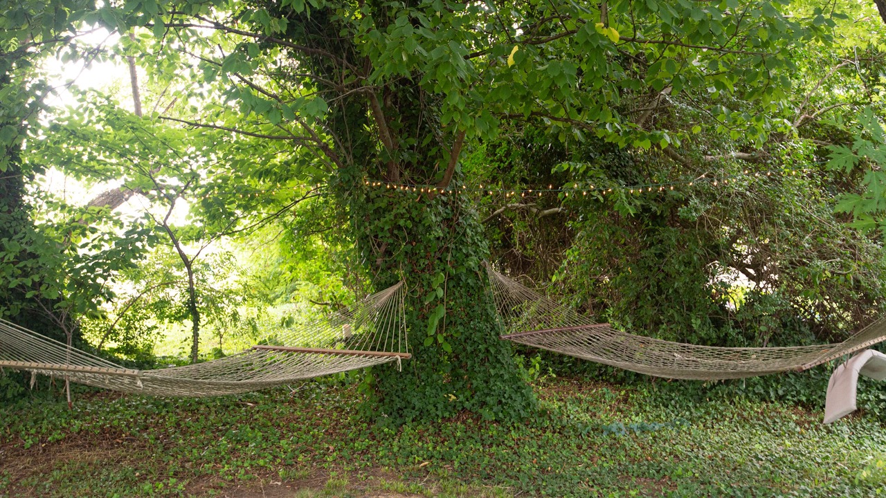 Photo of Outdoor in Fishing Creek
