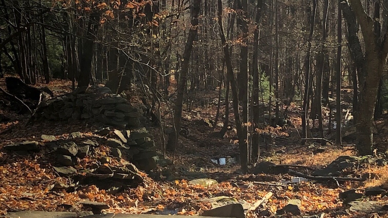 Photo of Outdoor in Town of Olive