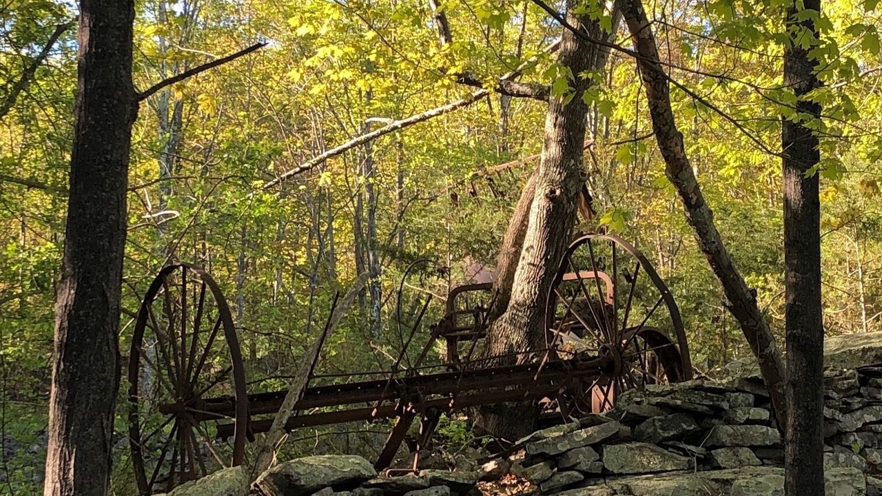 Photo of Outdoor in Town of Olive