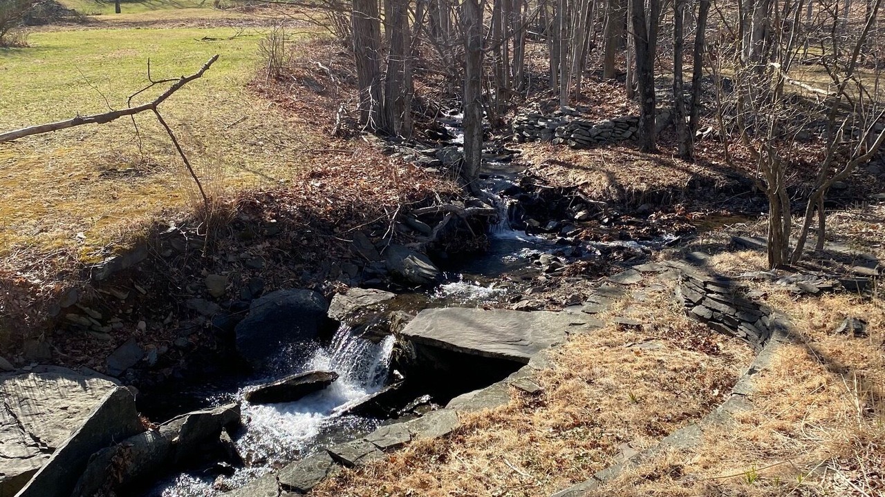 Photo of Outdoor in Town of Olive