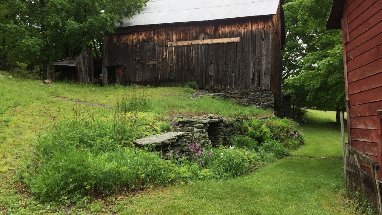 Photo of Outdoor in Town of Olive
