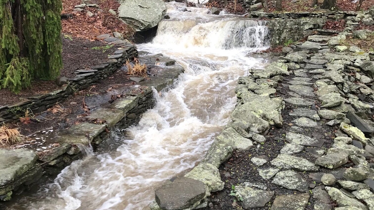 Photo of Outdoor in Town of Olive