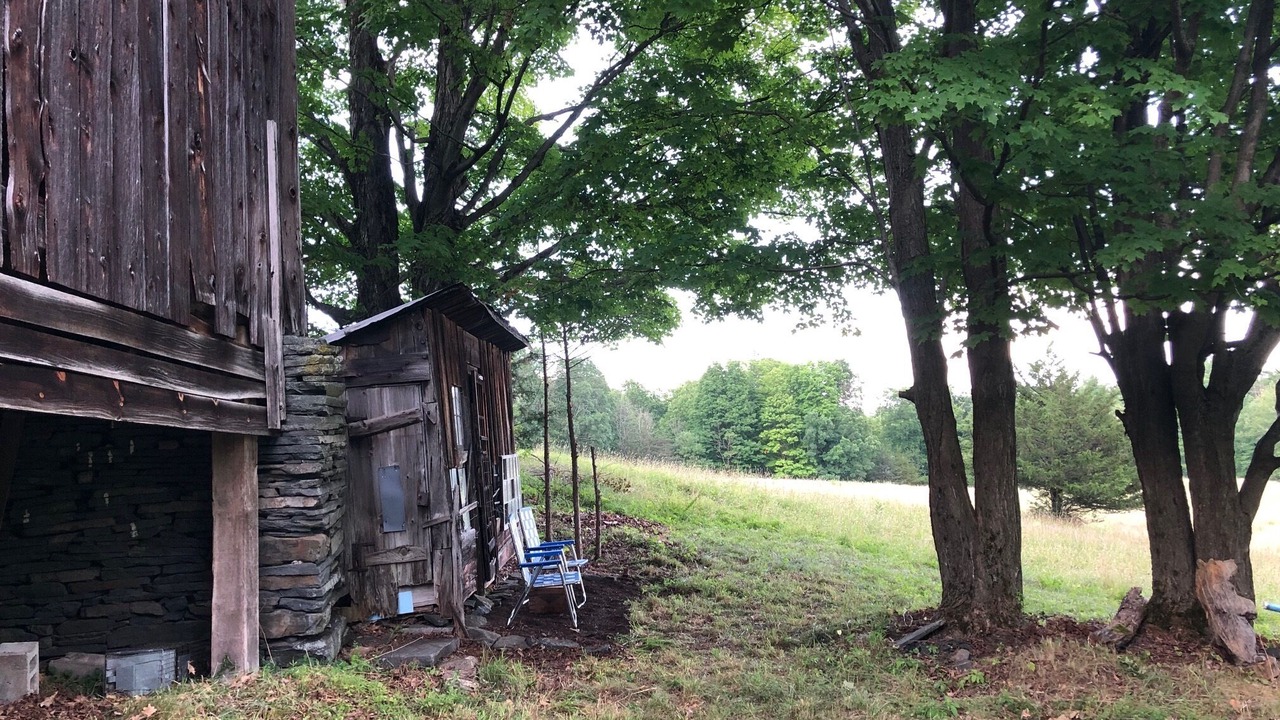 Photo of Outdoor in Town of Olive