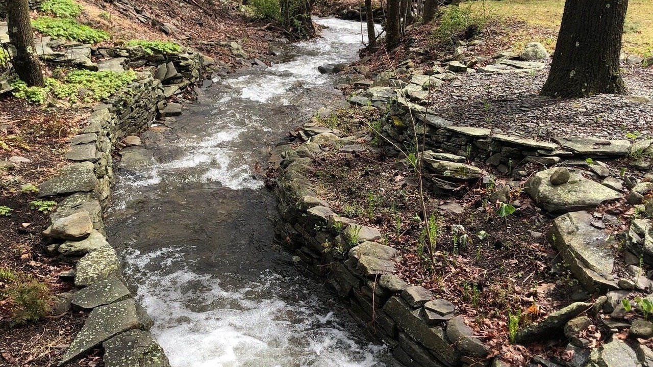 Photo of Outdoor in Town of Olive