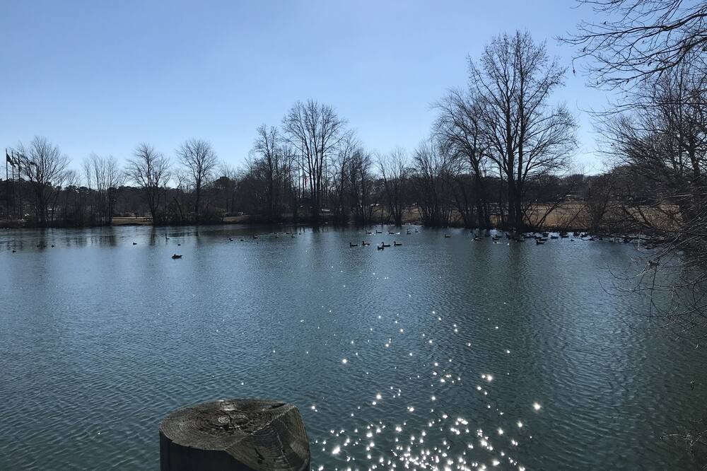 Photo of Others in Ocean Pines