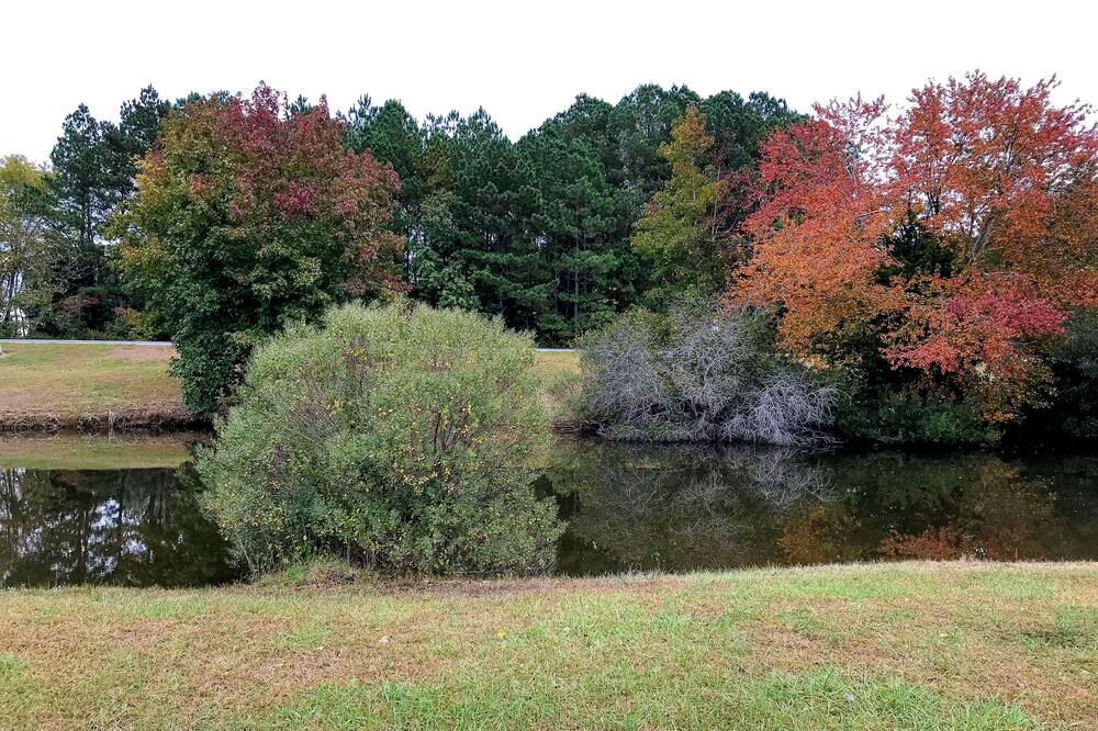 Photo of Others in Ocean Pines