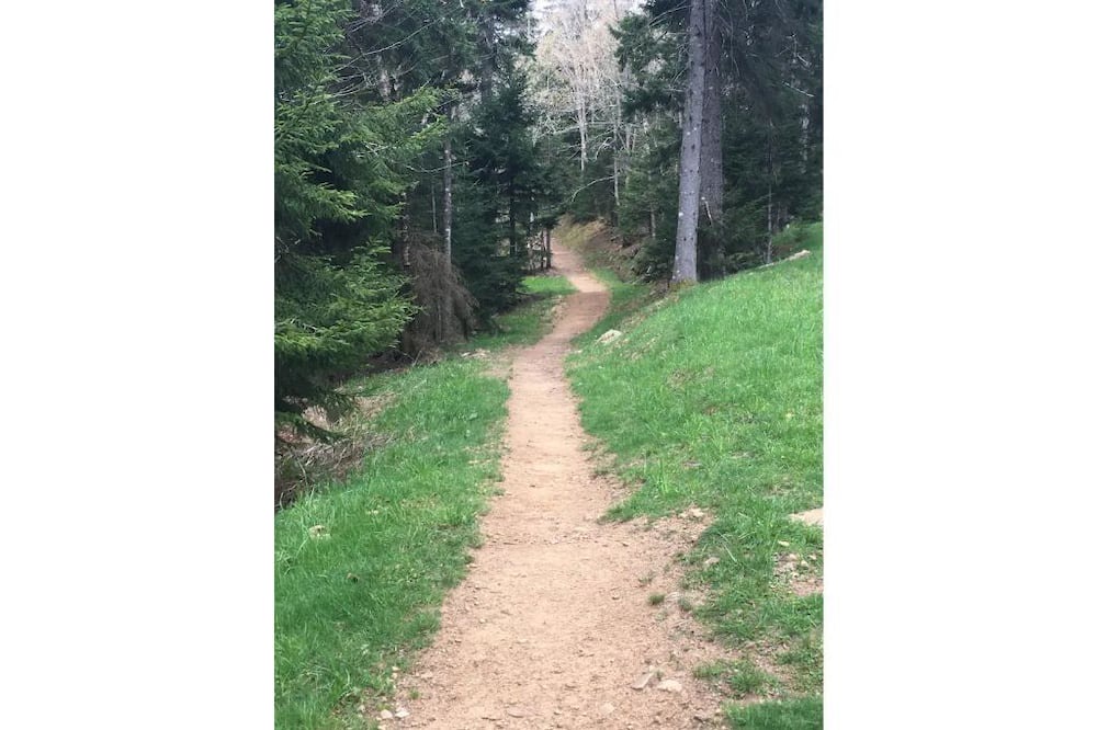Photo of Outdoor in Edray