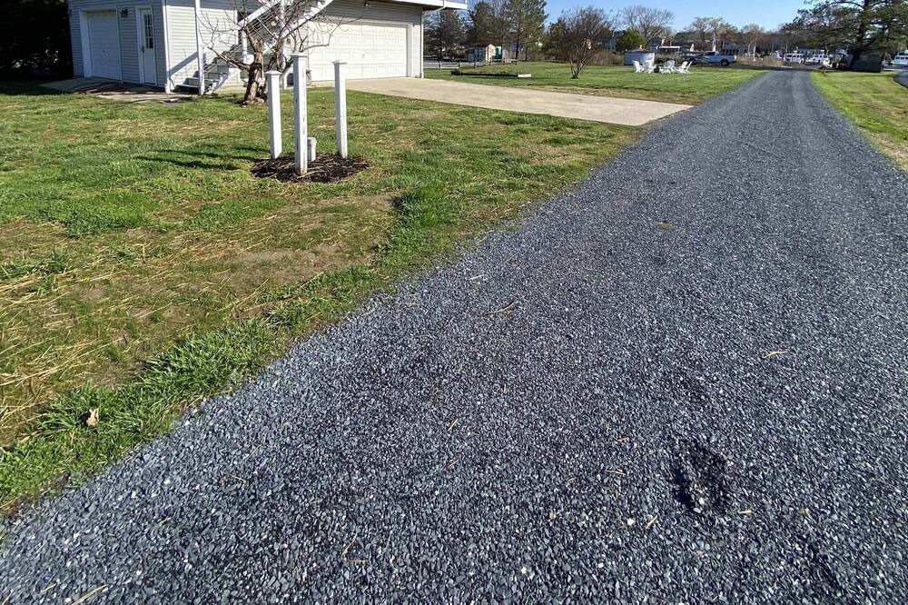 Photo of Others in Tilghman