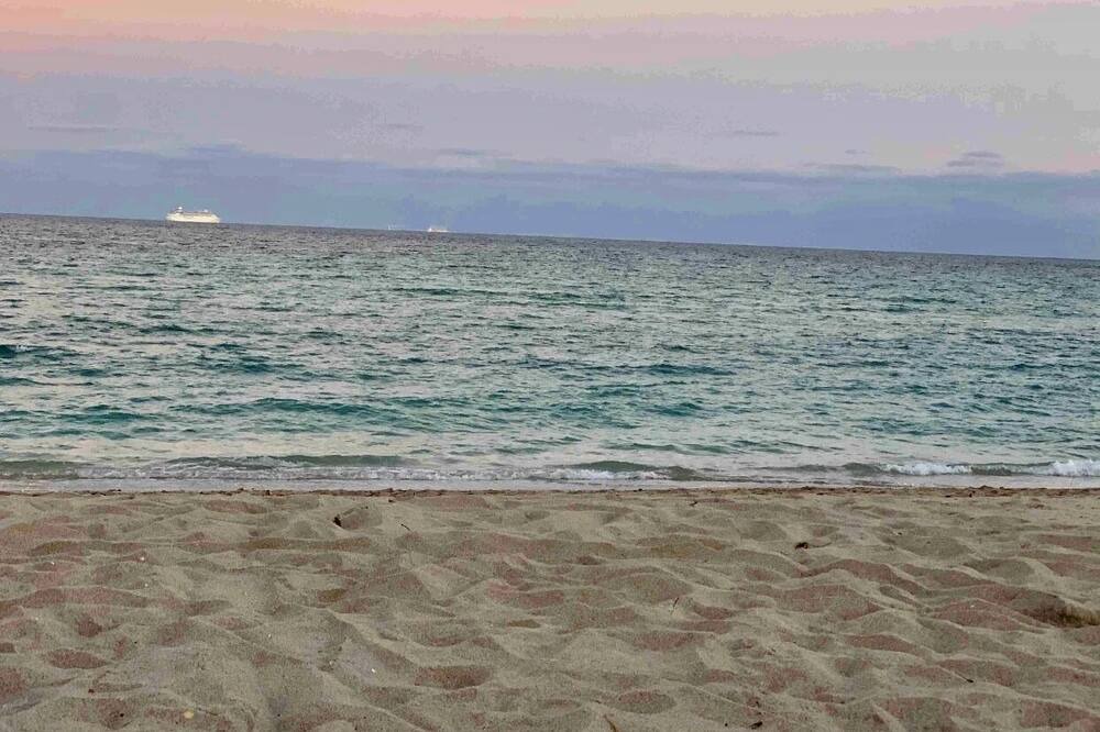 Photo of Others in Hallandale Beach