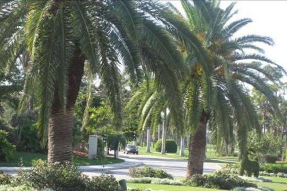 Photo of Others in Century Village