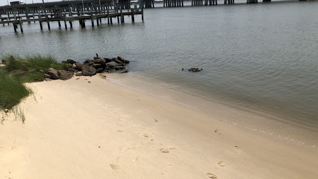 Photo of Others in Willoughby Spit