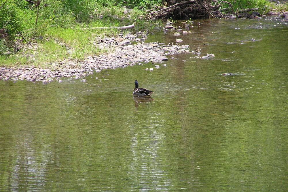 Photo of Others in Deerfield